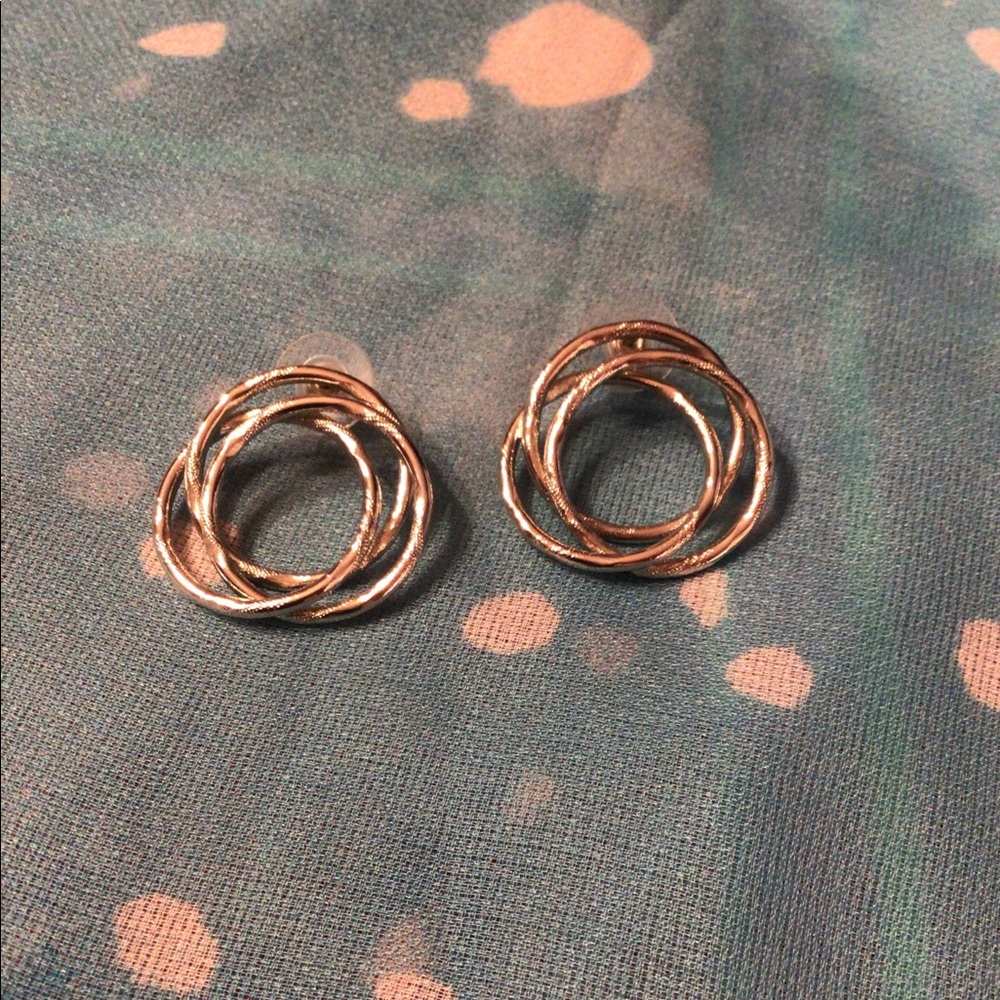 Stainless Steel Earrings